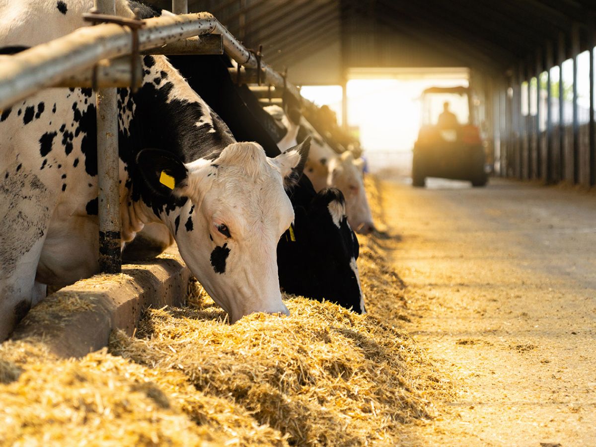 Slurry Stable Slurry Infrastructure Grants – Wolfenden Concrete